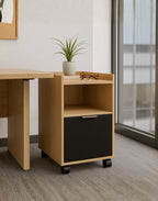 Archivero Movil M017